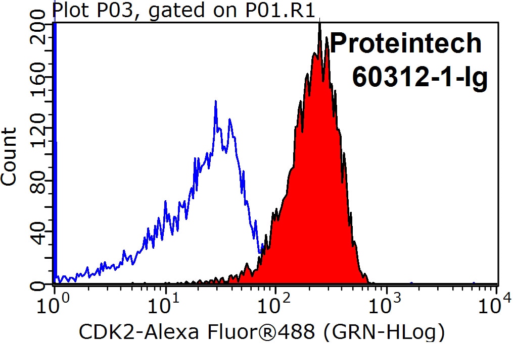 Flow cytometry (FC) experiment of Jurkat cells using CDK2 Monoclonal antibody (60312-1-Ig)