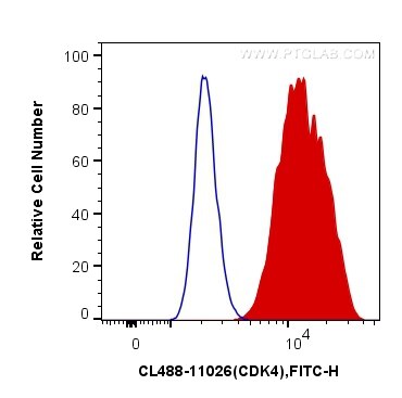 CDK4