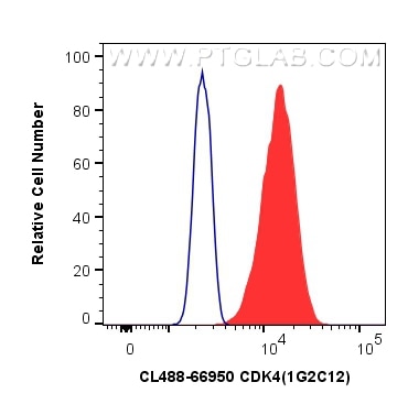 Flow cytometry (FC) experiment of MCF-7 cells using CoraLite® Plus 488-conjugated CDK4 Monoclonal anti (CL488-66950)