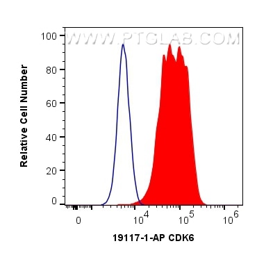 Flow cytometry (FC) experiment of HeLa cells using CDK6 Polyclonal antibody (19117-1-AP)