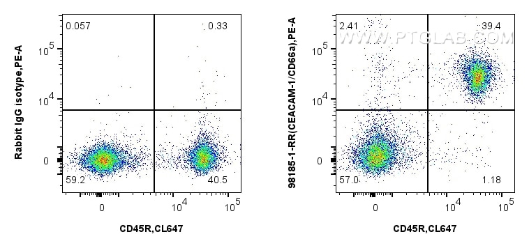 Flow cytometry (FC) experiment of mouse splenocytes using Anti-Mouse CEACAM1/CD66a Rabbit Recombinant Antibo (98185-1-RR)