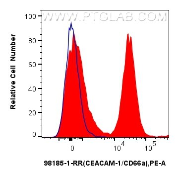 Flow cytometry (FC) experiment of mouse splenocytes using Anti-Mouse CEACAM1/CD66a Rabbit Recombinant Antibo (98185-1-RR)