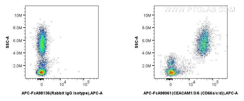 Flow cytometry (FC) experiment of human peripheral blood leukocytes using FcZero-rAb™ APC Anti-Human CEACAM1/3/6 (CD66a/c/d) (APC-FcA98061)