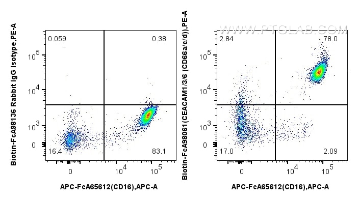 Flow cytometry (FC) experiment of human peripheral blood leukocytes using FcZero-rAb® Biotin Anti-Human CEACAM1/3/6 (CD66a/c (Biotin-FcA98061)