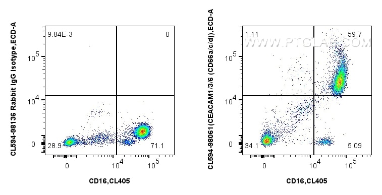 FC experiment of human peripheral blood leukocytes using CL594-98061 Flow cytometry (FC) experiment of human peripheral blood leukocytes using CoraLite®594 Anti-Human CEACAM1/3/6 (CD66a/c/d) Ra (CL594-98061)