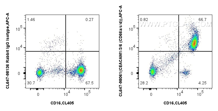 FC experiment of human peripheral blood leukocytes using CL647-98061 Flow cytometry (FC) experiment of human peripheral blood leukocytes using CoraLite® Plus 647 Anti-Human CEACAM1/3/6 (CD66a/c (CL647-98061)