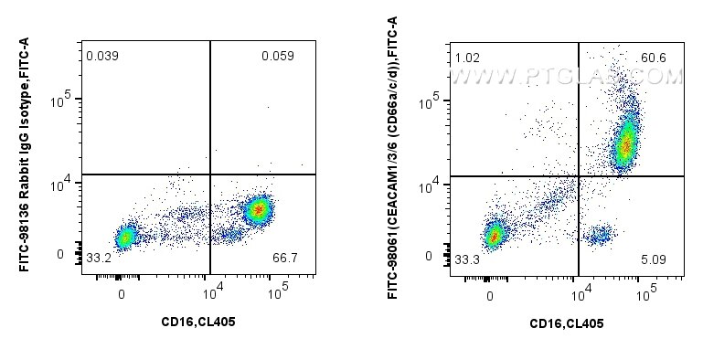 FC experiment of human peripheral blood leukocytes using FITC-98061 Flow cytometry (FC) experiment of human peripheral blood leukocytes using FITC Plus Anti-Human CEACAM1/3/6 (CD66a/c/d) Rabbi (FITC-98061)