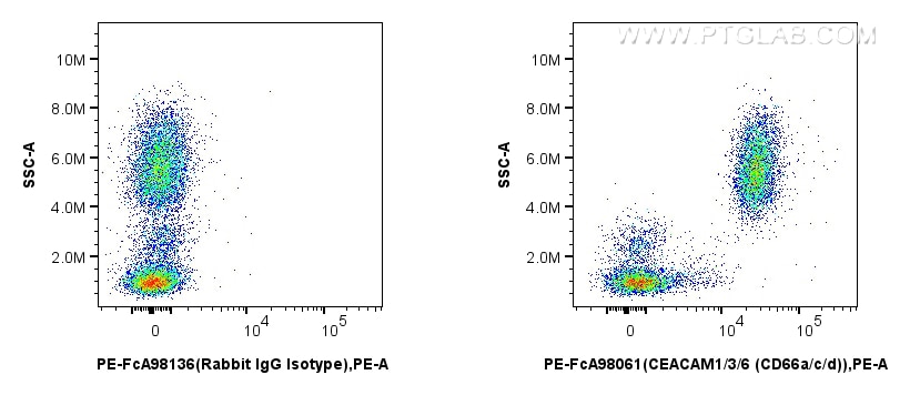 Flow cytometry (FC) experiment of human peripheral blood leukocytes using FcZero-rAb™ PE Anti-Human CEACAM1/3/6 (CD66a/c/d)  (PE-FcA98061)
