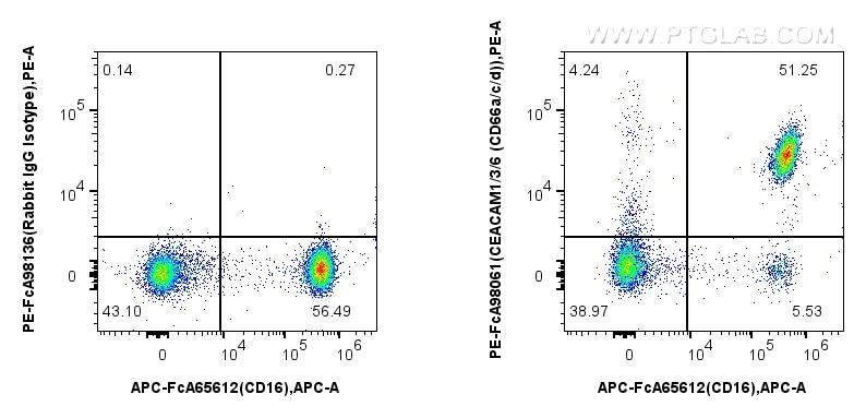 Flow cytometry (FC) experiment of human peripheral blood leukocytes using FcZero-rAb™ PE Anti-Human CEACAM1/3/6 (CD66a/c/d)  (PE-FcA98061)