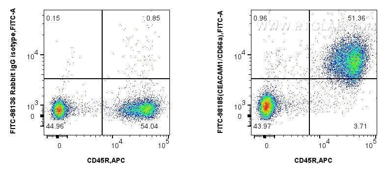 Flow cytometry (FC) experiment of mouse splenocytes using FITC Plus Anti-Mouse CEACAM1/CD66a Rabbit Recombin (FITC-98185)