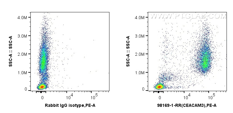Flow cytometry (FC) experiment of human peripheral blood leukocytes using Anti-Human CEACAM3/6 (CD66c/d) Rabbit Recombinant  (98169-1-RR)