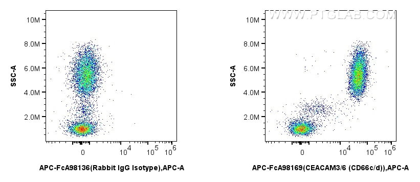 Flow cytometry (FC) experiment of human peripheral blood leukocyte using FcZero-rAb™ APC Anti-Human CEACAM3/6 (CD66c/d) Rab (APC-FcA98169)