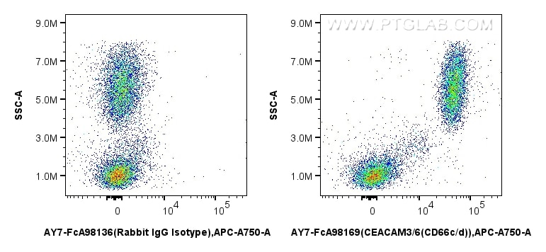 Flow cytometry (FC) experiment of human peripheral blood leukocyte using FcZero-rAb® APC-Cyanine7 Anti-Human CEACAM3/6 (CD6 (AY7-FcA98169)