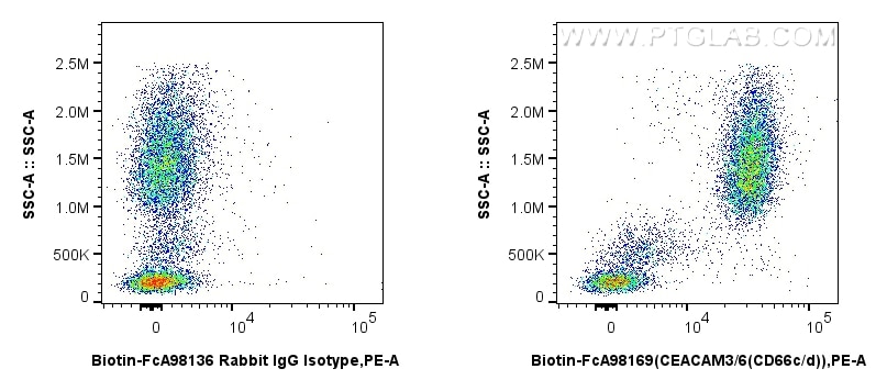FC experiment of human peripheral blood leukocytes using Biotin-FcA98169 Flow cytometry (FC) experiment of human peripheral blood leukocytes using FcZero-rAb® Biotin Anti-Human CEACAM3/6 (CD66c/d) (Biotin-FcA98169)