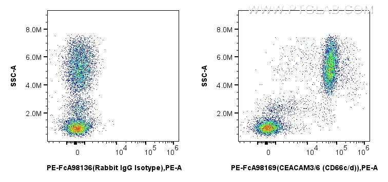 Flow cytometry (FC) experiment of human peripheral blood leukocyte using FcZero-rAb™ PE Anti-Human CEACAM3/6 (CD66c/d) Rabb (PE-FcA98169)