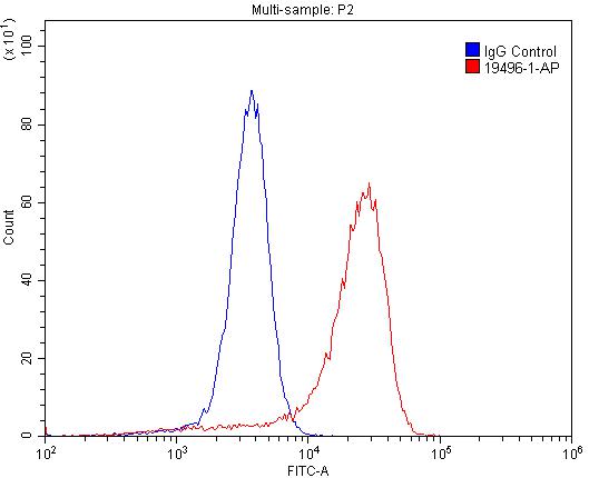 Flow cytometry (FC) experiment of A431 cells using CEACAM3-Specific Polyclonal antibody (19496-1-AP)