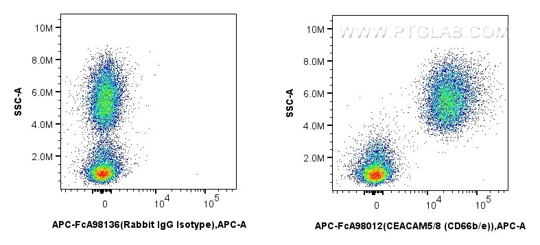 Flow cytometry (FC) experiment of human peripheral blood leukocyte using FcZero-rAb™ APC Anti-Human CEACAM5/8 (CD66b/e) Rab (APC-FcA98012)
