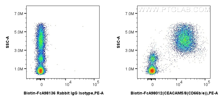 FC experiment of human peripheral blood leukocytes using Biotin-FcA98012 Flow cytometry (FC) experiment of human peripheral blood leukocytes using FcZero-rAb™ Biotin Anti-Human CEACAM5/8 (CD66b/e) (Biotin-FcA98012)