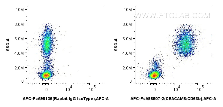Flow cytometry (FC) experiment of human peripheral blood leukocytes using FcZero-rAb® APC Anti-Human CEACAM8/CD66b Rabbit Re (APC-FcA98507-2)