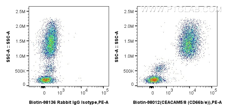 Flow cytometry (FC) experiment of human peripheral blood leukocytes using Biotin Anti-Human CEACAM5/8 (CD66b/e) Rabbit Recom (Biotin-98012)