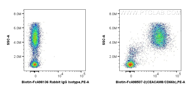 1x10^6 human peripheral blood leukocytes were surface stained with 0.25 ug Biotin Anti-Human CEACAM8/CD66b Rabbit RecAb (Biotin-FcA98507-2, Clone: 242954D11) or FcZero-rAb™ Biotin Rabbit IgG Isotype Control Recombinant Antibody (Biotin-FcA98136, Clone: 240953C9), and Streptavidin-PE Conjugate (PE-PF00030). Cells were not fixed. Flow cytometry (FC) experiment of human peripheral blood leukocytes using FcZero-rAb™ Biotin Anti-Human CEACAM8/CD66b Rabbit (Biotin-FcA98507-2)