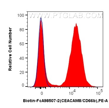 1x10^6 human peripheral blood leukocytes were surface stained with 0.25 ug Biotin Anti-Human CEACAM8/CD66b Rabbit RecAb (Biotin-FcA98507-2, Clone: 242954D11) (red) or FcZero-rAb™ Biotin Rabbit IgG Isotype Control Recombinant Antibody (Biotin-FcA98136, Clone: 240953C9) (blue), and Streptavidin-PE Conjugate (PE-PF00030). Cells were not fixed. Flow cytometry (FC) experiment of human peripheral blood leukocytes using FcZero-rAb™ Biotin Anti-Human CEACAM8/CD66b Rabbit (Biotin-FcA98507-2)
