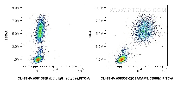 Flow cytometry (FC) experiment of human peripheral blood leukocytes using FcZero-rAb® CoraLite® Plus 488 Anti-Human CEACAM8/ (CL488-FcA98507-2)