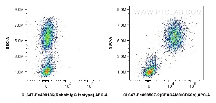 Flow cytometry (FC) experiment of human peripheral blood leukocytes using FcZero-rAb® CoraLite® Plus 647 Anti-Human CEACAM8/ (CL647-FcA98507-2)