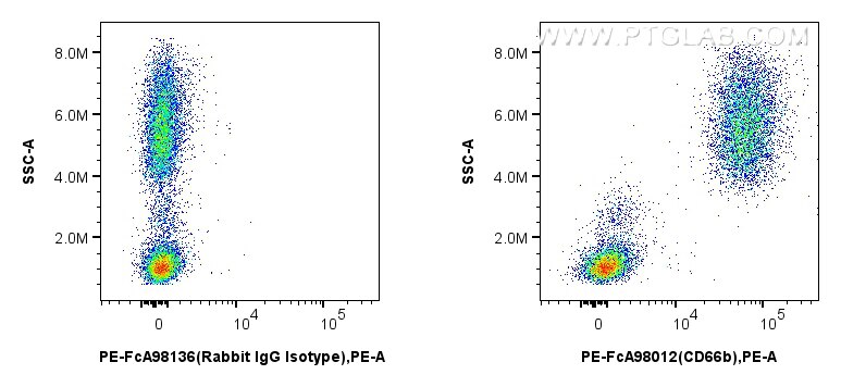 Flow cytometry (FC) experiment of human peripheral blood leukocyte using FcZero-rAb™ PE Anti-Human CEACAM5/8 (CD66b/e) Rabb (PE-FcA98012)