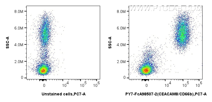 Flow cytometry (FC) experiment of human peripheral blood leukocytes using FcZero-rAb® PE-Cyanine7 Anti-Human CEACAM8/CD66b R (PY7-FcA98507-2)