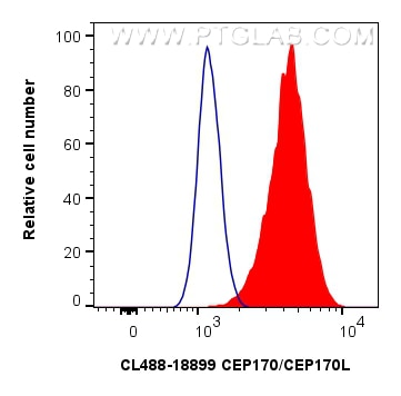 Flow cytometry (FC) experiment of HeLa cells using CoraLite® Plus 488-conjugated CEP170/CEP170L Polyc (CL488-18899)