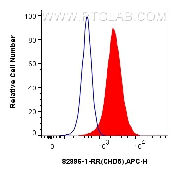 Flow cytometry (FC) experiment of MCF-7 cells using CHD5 Recombinant antibody (82896-1-RR)