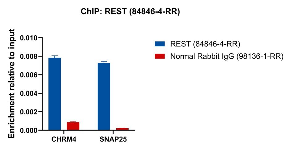 Affinity and Kinetic Characterization of 84846-4-RR