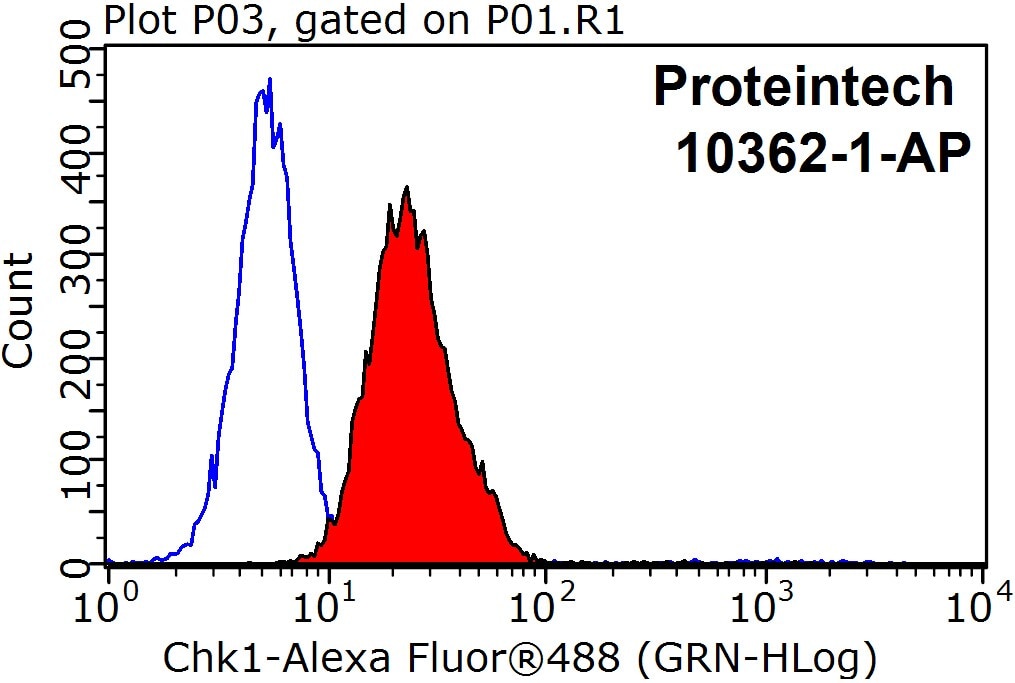 Flow cytometry (FC) experiment of HepG2 cells using Chk1 Polyclonal antibody (10362-1-AP)