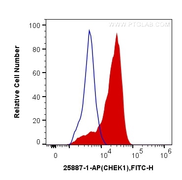 Flow cytometry (FC) experiment of HEK-293T cells using Chk1 Polyclonal antibody (25887-1-AP)