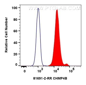 Flow cytometry (FC) experiment of HepG2 cells using CHMP4B Recombinant antibody (81691-2-RR)