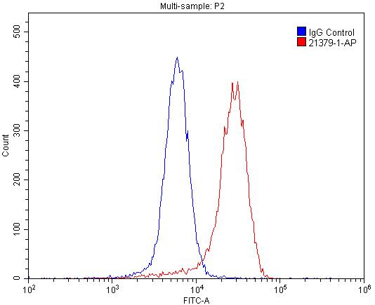 Flow cytometry (FC) experiment of SH-SY5Y cells using CHRNA7 Polyclonal antibody (21379-1-AP)