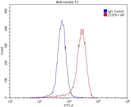 Flow cytometry (FC) experiment of SH-SY5Y cells using CHRNA7 Polyclonal antibody (21379-1-AP)