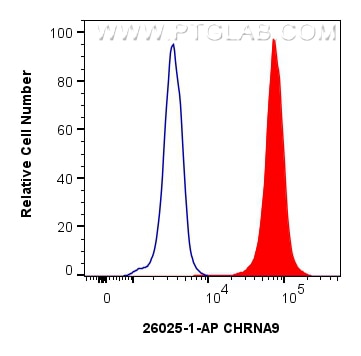 Flow cytometry (FC) experiment of Jurkat cells using CHRNA9 Polyclonal antibody (26025-1-AP)