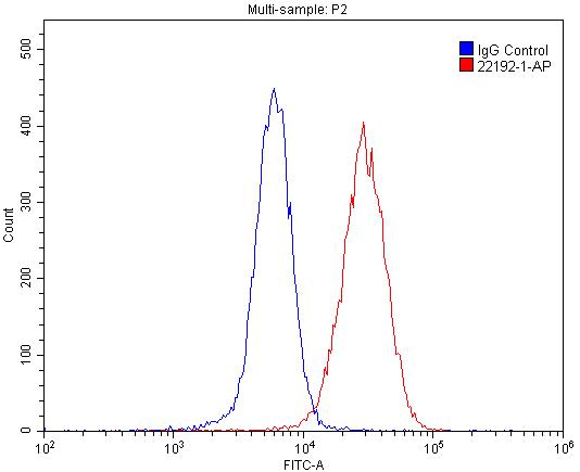 FC experiment of SH-SY5Y using 22192-1-AP