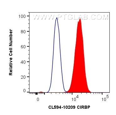 Flow cytometry (FC) experiment of A549 cells using CoraLite®594-conjugated CIRBP Polyclonal antibody (CL594-10209)