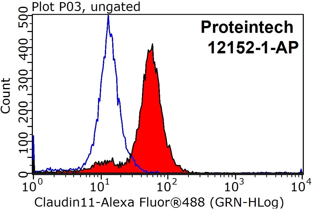 Flow cytometry (FC) experiment of HepG2 cells using Claudin 11 Polyclonal antibody (12152-1-AP)
