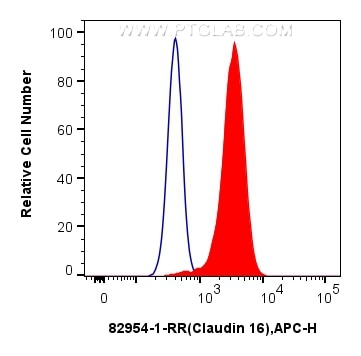 FC experiment of HEK-293 using 82954-1-RR