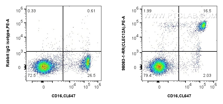 Flow cytometry (FC) experiment of human peripheral blood leukocytes using Anti-Human CLEC12A Rabbit Recombinant Antibody (98083-1-RR)