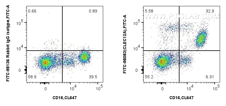 Flow cytometry (FC) experiment of human peripheral blood leukocytes using FITC Plus Anti-Human CLEC12A Rabbit Recombinant An (FITC-98083)