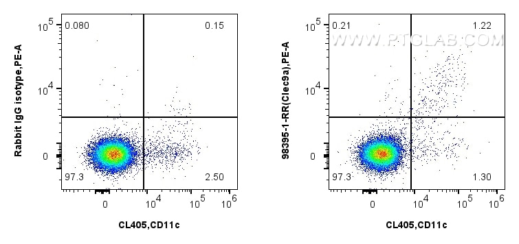 1x10^6 BALB/c mouse splenocytes were surface stained with 0.25 ug Anti-Mouse CLEC9A Rabbit RecAb (98395-1-RR, Clone:242895F4) and PE-Conjugated Goat Anti-Rabbit IgG(H+L), or 0.25 ug Rabbit IgG Isotype Control RecAb (98136-1-RR, Clone: 240953C9). Cells were then stained with CoraLite® Plus 405 Anti-Mouse CD11c (N418) Mouse IgG2a Recombinant Antibody (CL405-65602, Clone: N418) and APC Anti-Mouse CD8a (5H10-1) (APC-65205, Clone: 5H10-1). CD8+ were gated. Cells were incubated with FC Receptor Block prior to staining. Cells were not fixed. Flow cytometry (FC) experiment of BALB/c mouse splenocytes using Anti-Mouse CLEC9A/CD370 Rabbit Recombinant Antibod (98395-1-RR)