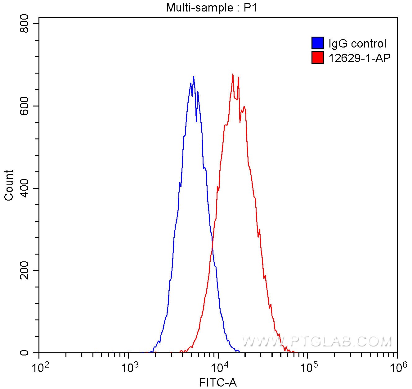 Flow cytometry (FC) experiment of Jurkat cells using Calmegin Polyclonal antibody (12629-1-AP)