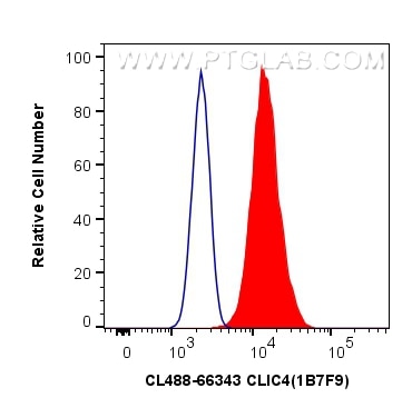 Flow cytometry (FC) experiment of HeLa cells using CoraLite® Plus 488-conjugated CLIC4 Monoclonal ant (CL488-66343)