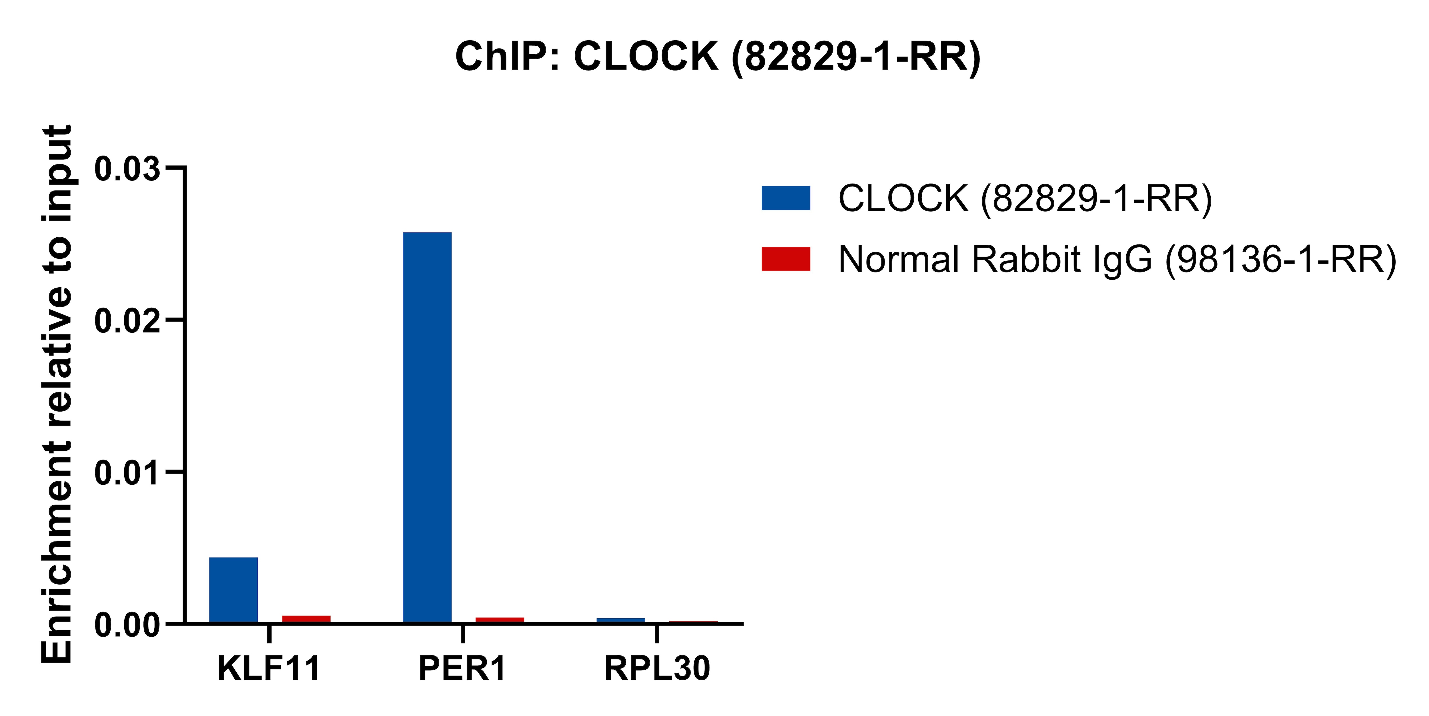 ChIP experiment of NIH/3T3 cells using CLOCK Recombinant monoclonal antibody (82829-1-RR)
