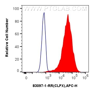 Flow cytometry (FC) experiment of HeLa cells using CLPX Recombinant antibody (83097-1-RR)